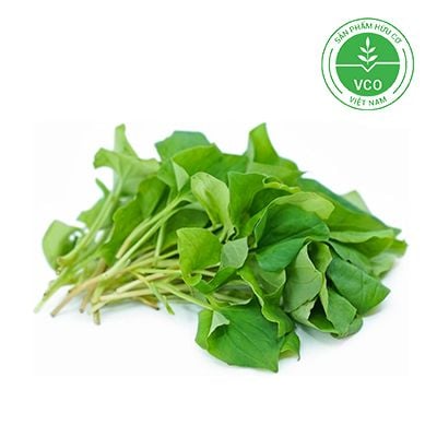 Rau gia vị hữu cơ