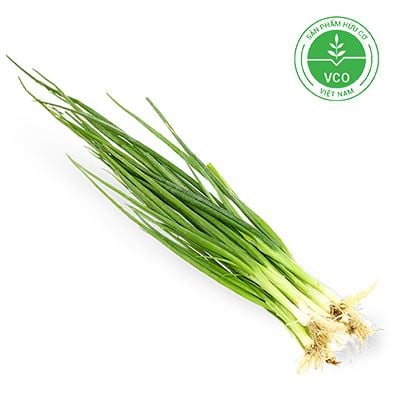 Rau gia vị hướng hữu cơ