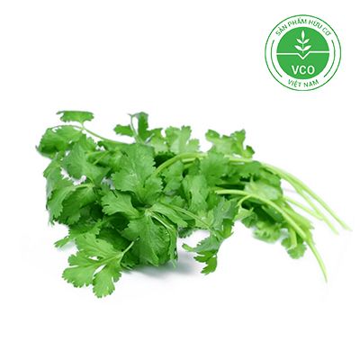  Ngò rí Hữu cơ (Gói 50g) 