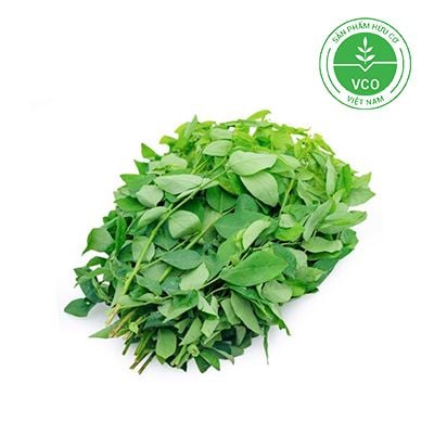 Rau ăn lá hữu cơ