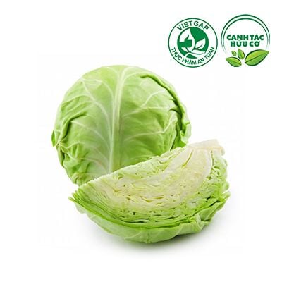  Bắp cải trắng (500-600g/bắp) 