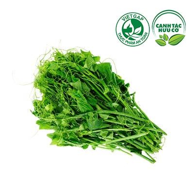  Đọt Su su (Gói 500g) 