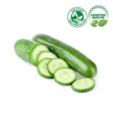  Dưa leo giống Nhật (Túi 450-550g) 