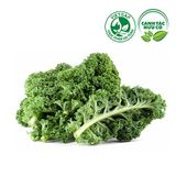  Cải xoắn Kale (Gói 250g) 