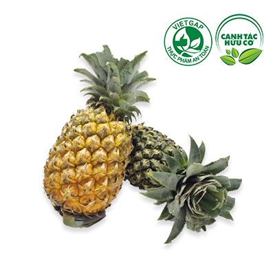  Khóm Long An ( 650-750g/trái) 