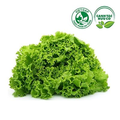  Xà lách Lolo xanh (150-170g/gói) 