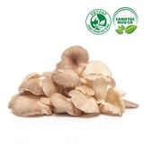  Nấm bào ngư xám ( Hộp 200g) 