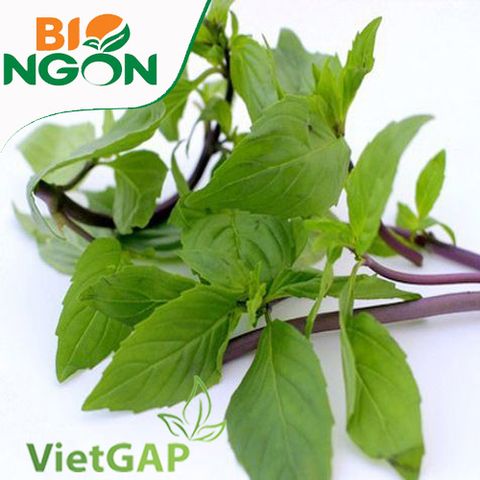  Húng quế VietGAP (Gói 100g) 