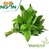  Húng cây VietGAP (Gói 100g) 
