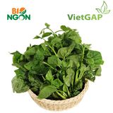  Mồng tơi VietGAP (Gói 300g) 