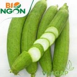  Mướp VietGAP (Kg) 