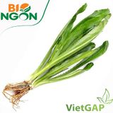  Ngò gai VietGAP (Gói 100g) 