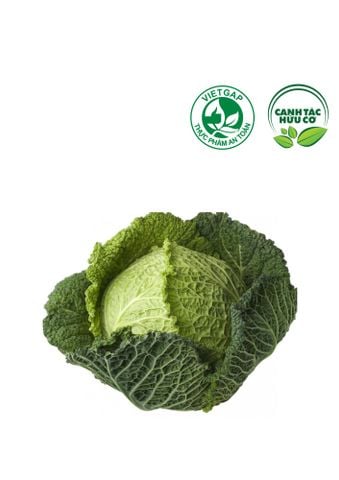  Bắp cải nhăn (600-700g/bắp) 