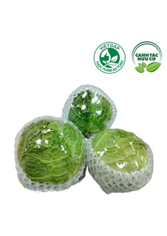  Bắp cải nhăn (450-550g/bắp) 