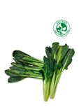  Cải ngọt nhật (Gói 300g) 