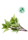  Húng quế VietGAP (Gói 100g) 