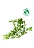  Rau đắng VietGAP (Gói 300g) 