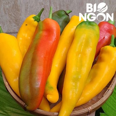  Ớt Palermo (Vỉ 300g) 