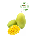  Xoài Cát Hòa Lộc (Kg) 