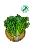  Cần tây baby thủy canh ( 550-650g/gói) 