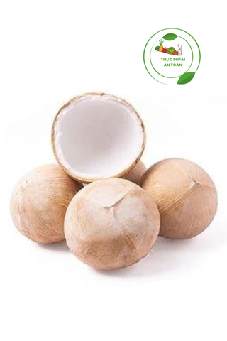  Dừa xiêm trọc Bến Tre size M (500-600g/trái) 