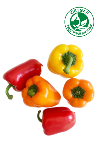  Ớt chuông baby (Vỉ 300-350g) 
