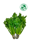  Cần tây baby thủy canh ( 550-650g/gói) 