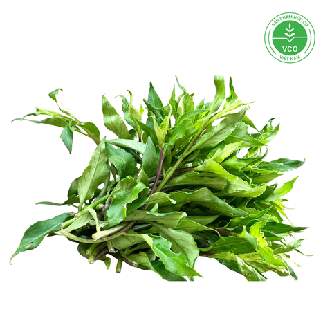  Rau rừng Hữu cơ (Gói 300g) 