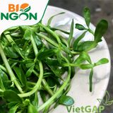  Rau đắng VietGAP (Gói 300g) 