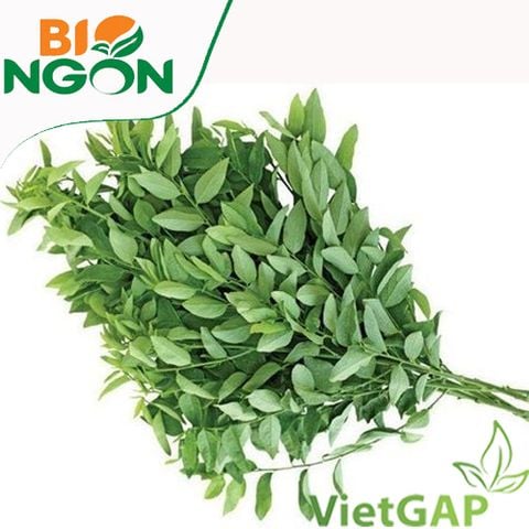  Rau ngót VietGAP (Gói 300g) 