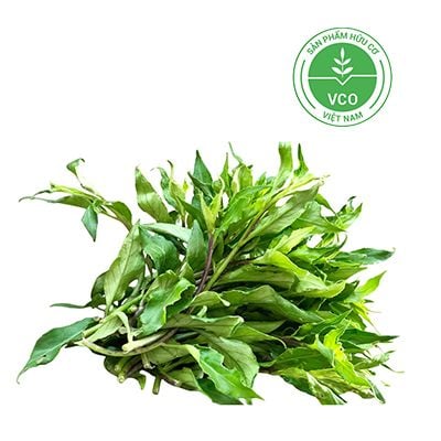 Sản phẩm khuyến mãi