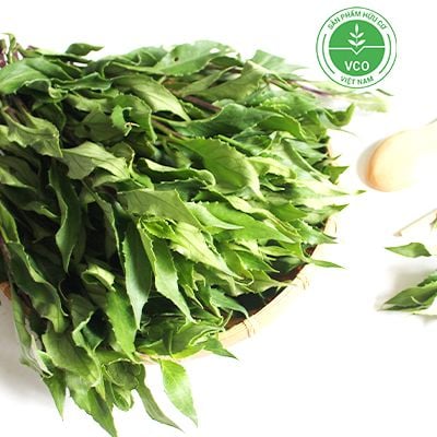  Rau rừng hữu cơ (Rau bầu đất) (Gói 300g) 