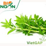  Rau om VietGAP (Gói 100g) 