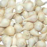  Tỏi cô đơn Phan Rang (200g/túi) 