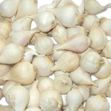 Tỏi cô đơn Phan Rang (200g/túi) 