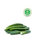  Dưa leo giống Nhật Hữu cơ (450-550g/túi) 