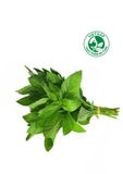  Húng cây VietGAP (Gói 100g) 