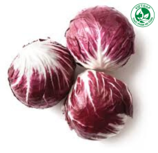  Xà lách Radicchio VietGAP (280-320g/gói) 