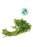  Cần nước VietGAP (Gói 300g) 