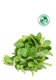  Húng lủi VietGAP (Gói 100g) 