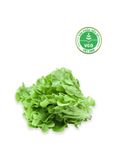  Xà lách sồi xanh Hữu cơ (Gói 200g) 