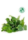  Diếp cá VietGAP (Gói 100g) 