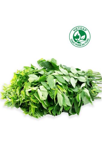  Rau ngót VietGAP (Gói 300g) 
