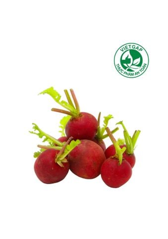  Củ cải đỏ (Hộp 250g) 