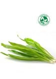  Ngò gai VietGAP (Gói 100g) 