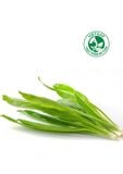 Ngò gai VietGAP (Gói 100g) 