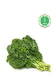  Cải xoăn Kale Hữu cơ (Gói 250g) 