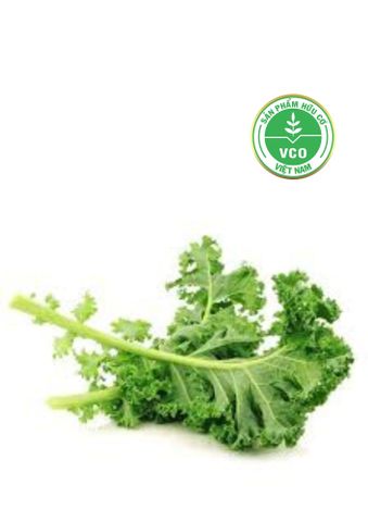  Cải xoăn Kale Hữu cơ (Gói 250g) 