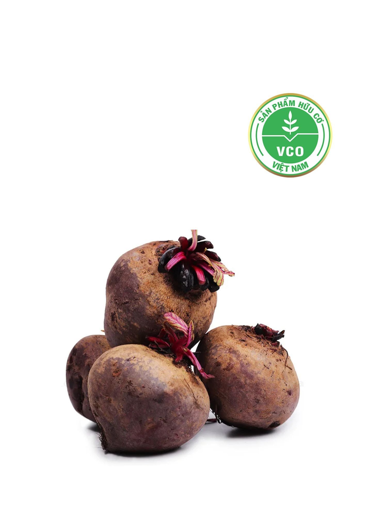  Củ dền hữu cơ (300-350g/vỉ) 