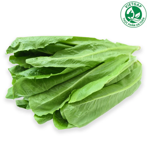  Xà lách Romaine xanh VietGAP (Gói 200g) 